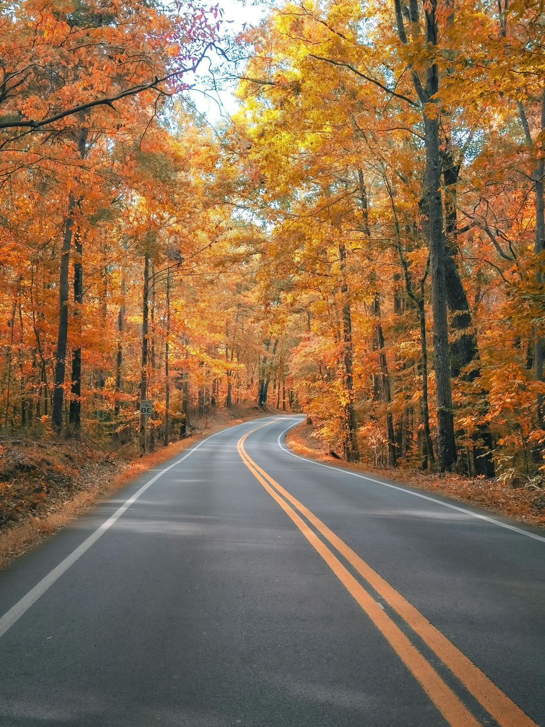 How Do You Ensure a Smooth and Comfortable Long-Distance Journey With Children?