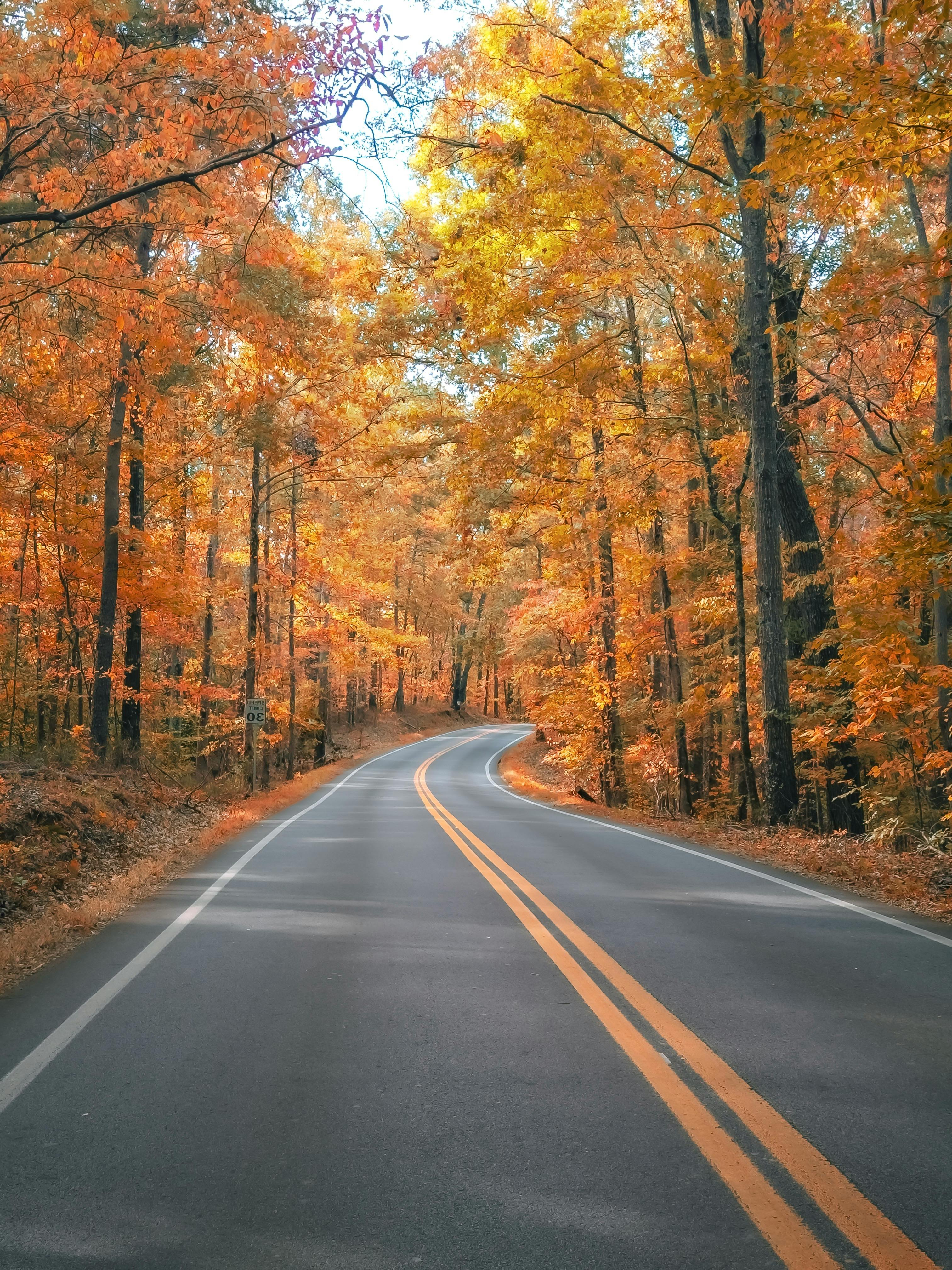 How Do You Ensure a Smooth and Comfortable Long-Distance Journey With Children?