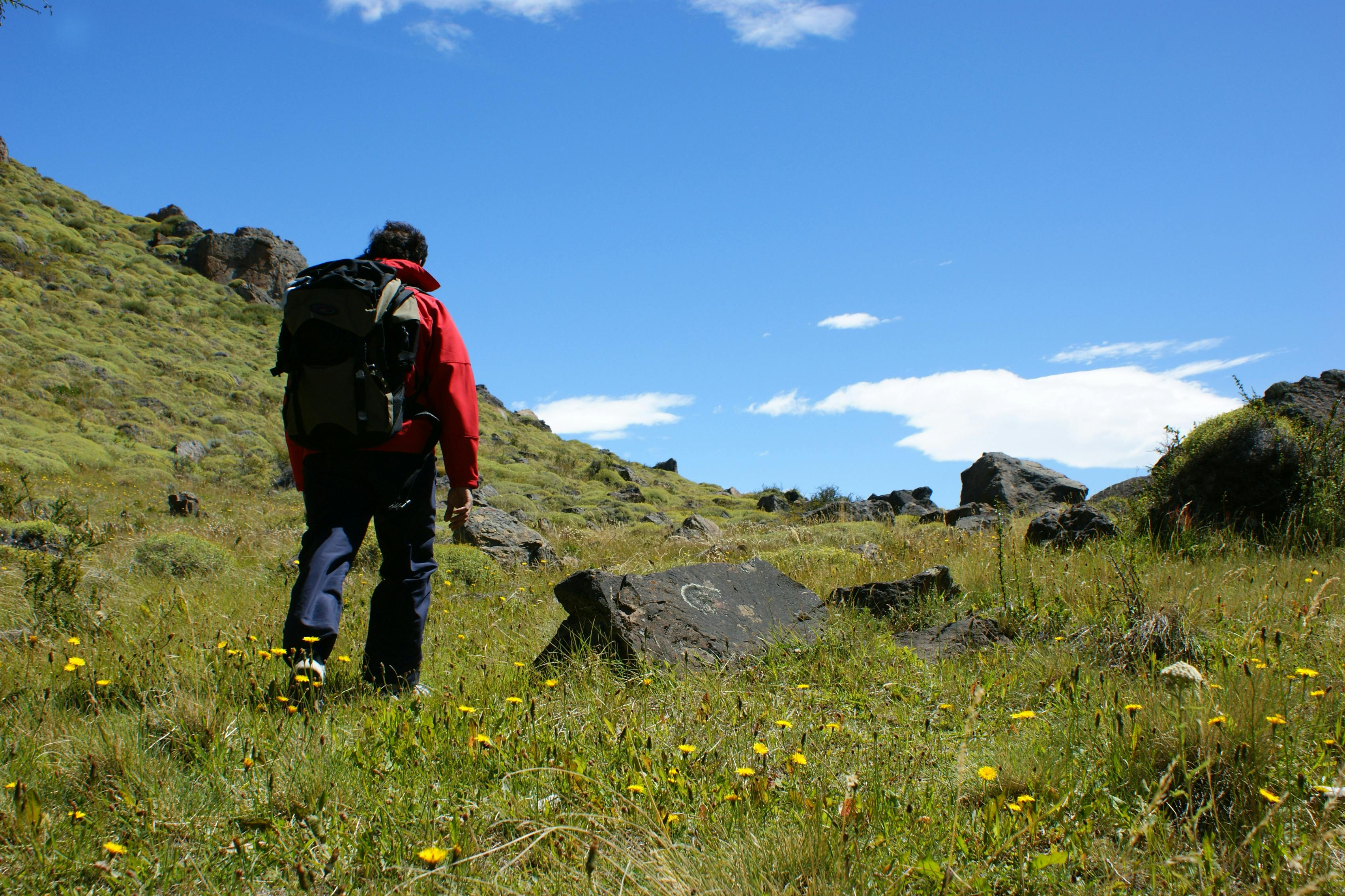 Top Reasons You Need Good Hiking Shoes Before Your Next Trail